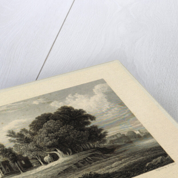 Banks of the Jumna, Delhi, Views in India, China, and on the Shores of the Red Sea by Anonymous