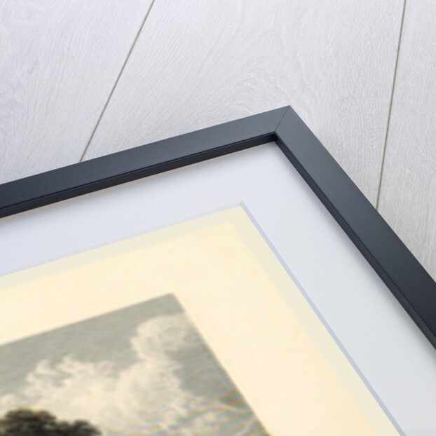 Banks of the Jumna, Delhi, Views in India, China, and on the Shores of the Red Sea by Anonymous