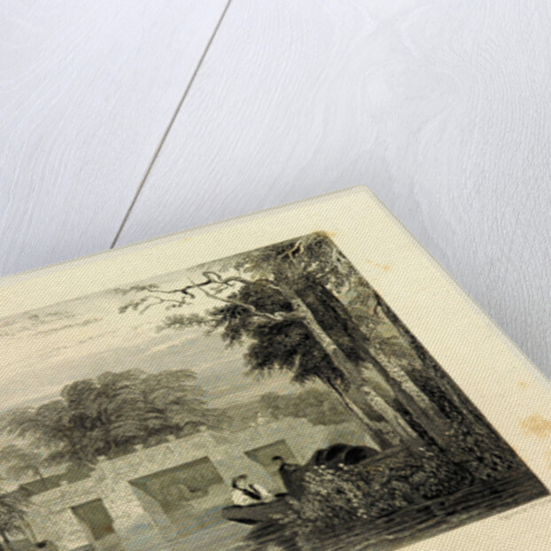 Mah Chung Kow, Canton, China by Anonymous