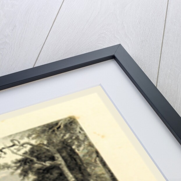 Mah Chung Kow, Canton, China by Anonymous