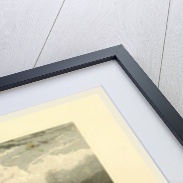 Tiger Island by Anonymous