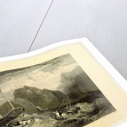 Tiger Island by Anonymous