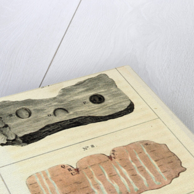 Observations on certain curious Indentations in the Old Red Sandstone of Worcestershire and Herefordshire, considered as the tracks of antediluvian animals by Anonymous