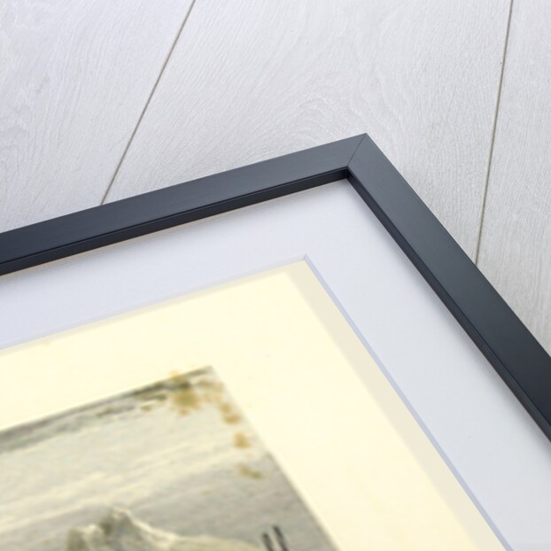 El Wuish, Views in India, China, and on the Shores of the Red Sea by Anonymous