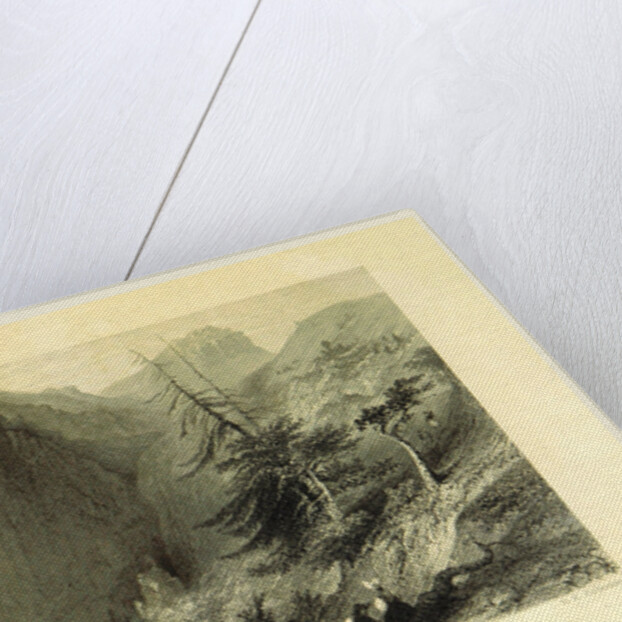 Baths of Pfeffers, Switzerland by W. H. Bartlett