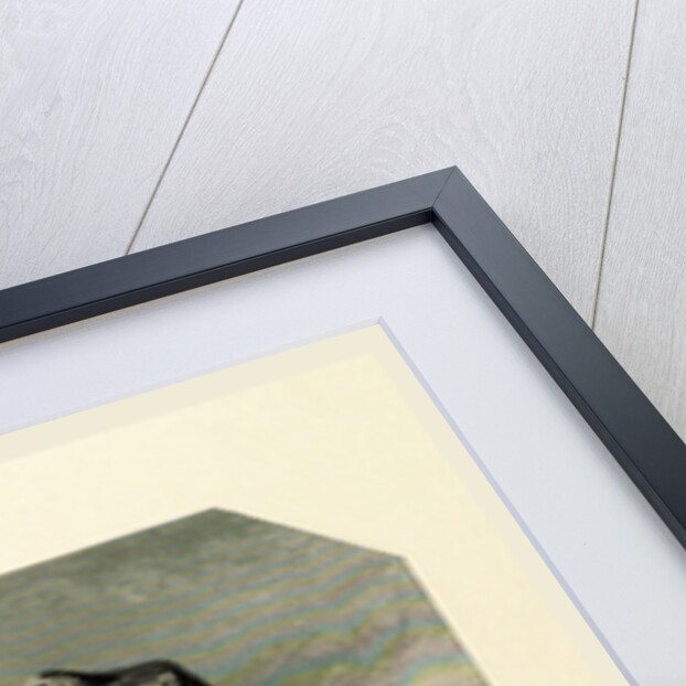 The Shakespeare Gallery, containing the principal female characters in the plays of the great poet by Anonymous