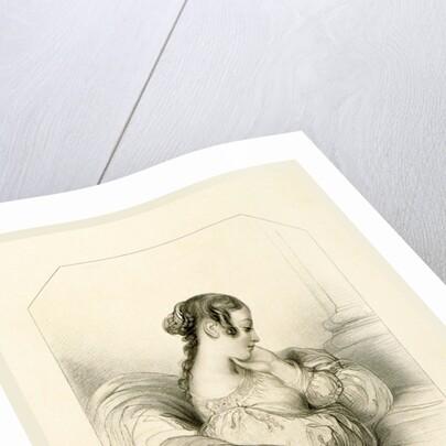 The Shakespeare Gallery, containing the principal female characters in the plays of the great poet by Anonymous