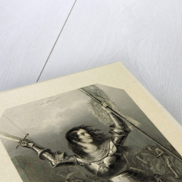 The Shakespeare Gallery, containing the principal female characters in the plays of the great poet by Anonymous