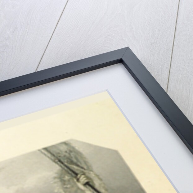 The Shakespeare Gallery, containing the principal female characters in the plays of the great poet by Anonymous