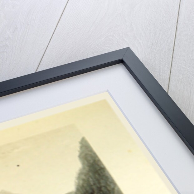 Switzerland by W. H. Bartlett