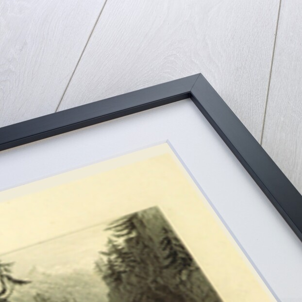 Gorge of the Rhine, Via Mala, Switzerland by W. H. Bartlett