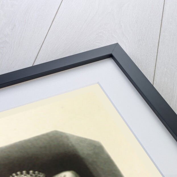 The Shakespeare Gallery, containing the principal female characters in the plays of the great poet by Anonymous