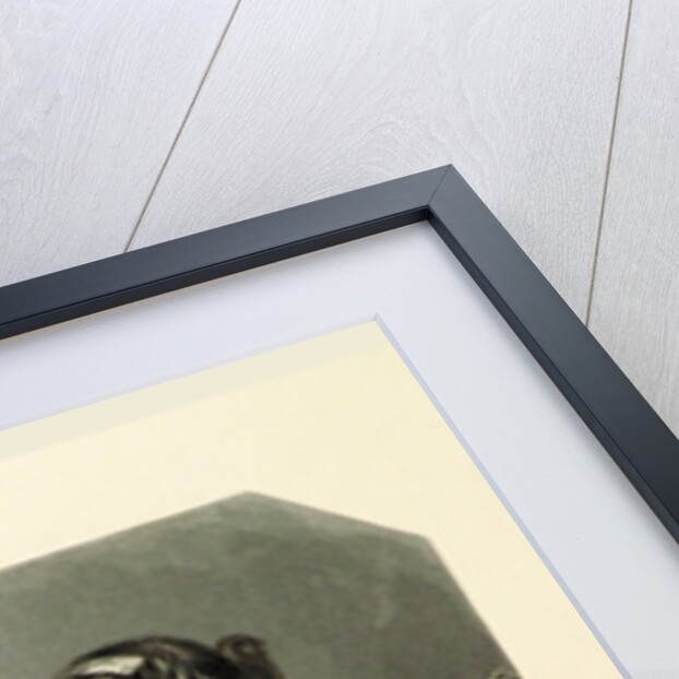 The Shakespeare Gallery, containing the principal female characters in the plays of the great poet by Anonymous