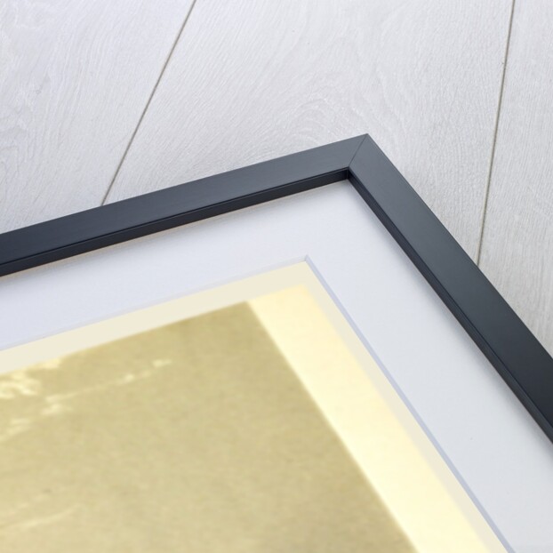 Expedition in H.M.S. Terror, undertaken with a view to geographical discovery on the Arctic shores, in the years 1836-7 by Anonymous