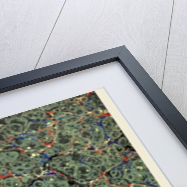 Background, 19th century lithograph by Anonymous