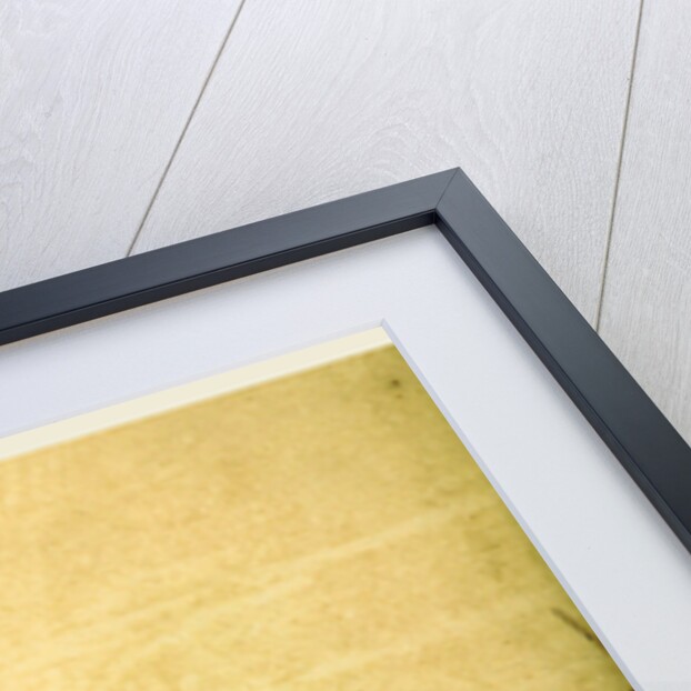 Cheshire Antiquities, Roman, Baronial, and Monastic, being a re-publication of genuine original copper plates, engraved by J. Strutt by Anonymous