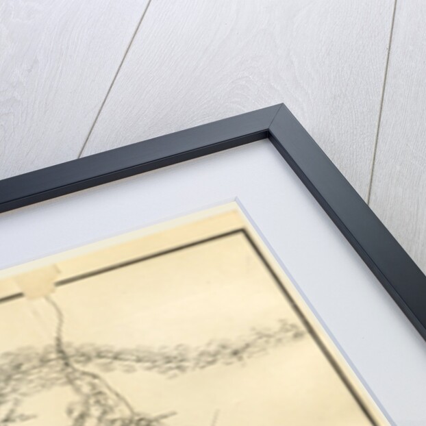 Six Years in Biscay by Anonymous