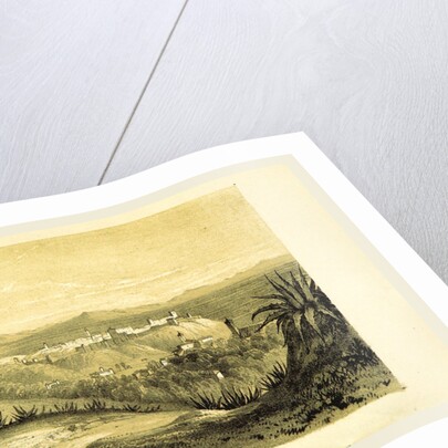 Granada from the hill of St. Miguel, A Summer in Andalucia by Anonymous