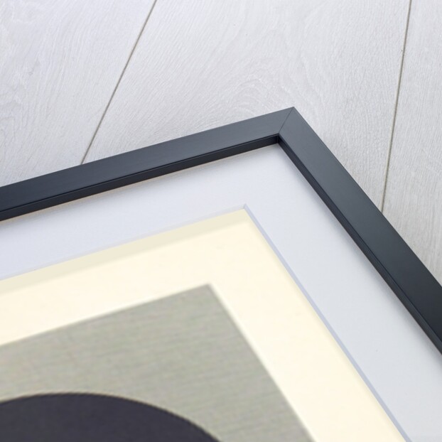 Dutch History Jakob Cats by Anonymous