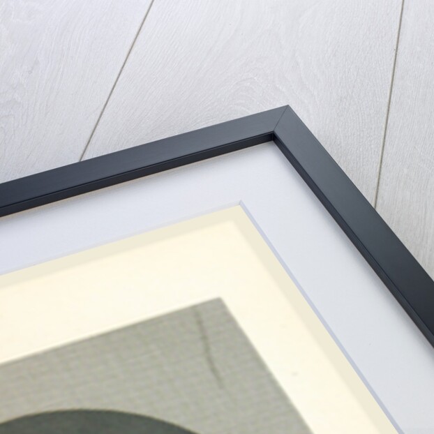 Dutch History Jacob van der Burch by Anonymous