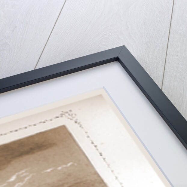 Pont D'Austerlitz, Paris and surroundings by M. C. Philipon