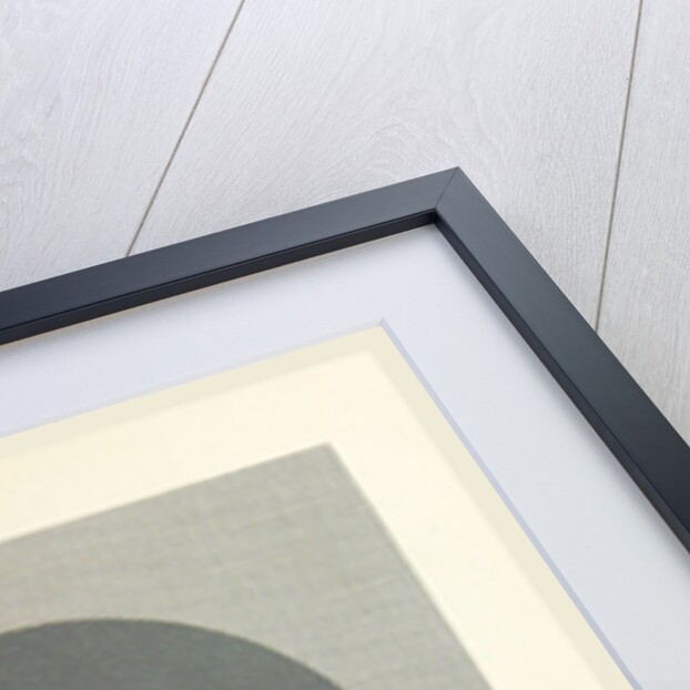 Dutch History Willem Ripperda, gedeputeerde Generalteit Overijssel by Anonymous