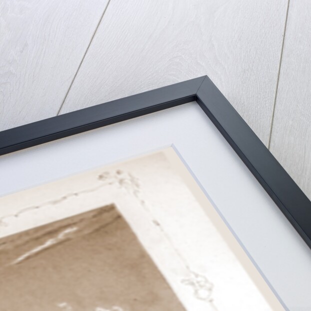 Hotel de Ville and Place de Greve, Paris and surroundings by M. C. Philipon