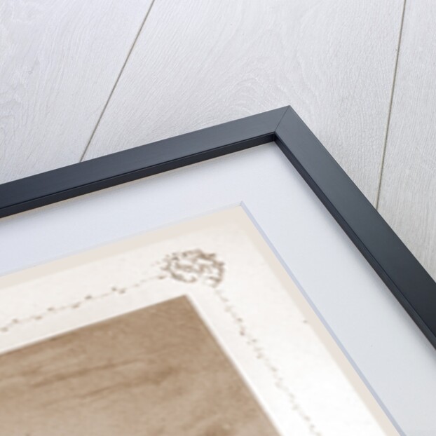 View from Pont Neuf, Paris and surroundings by M. C. Philipon