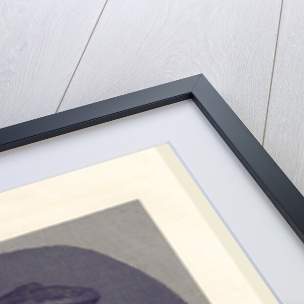 Dutch history Viglius van Zuichem van Aytta by Anonymous