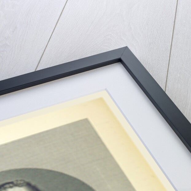 Dutch History Witte Cornelisz. de Witt by Anonymous