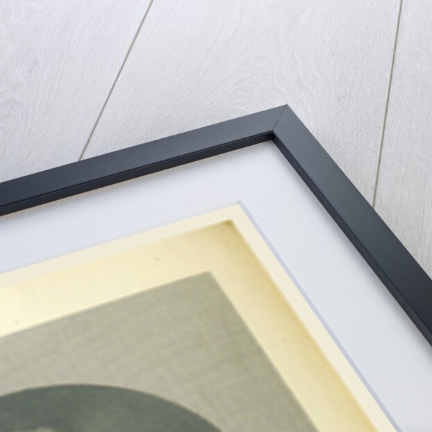 Dutch History willem Frederik van Nassau, van Friesland by Anonymous