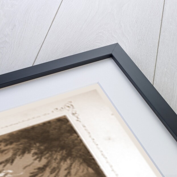 Le Grand Trianon, Paris and surroundings by M. C. Philipon