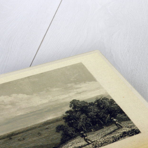 Plains of Promise, Albert River by Anonymous