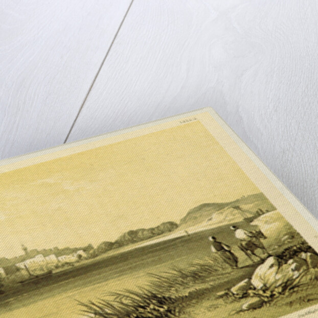 Narrative of the Euphrates Expedition carried on by Order of the British Government during the years 1835, 1836, and 1837 by Anonymous