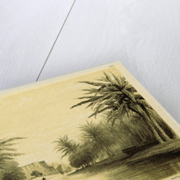 Basra Creek, Narrative of the Euphrates Expedition during the years 1835-1837 by Anonymous