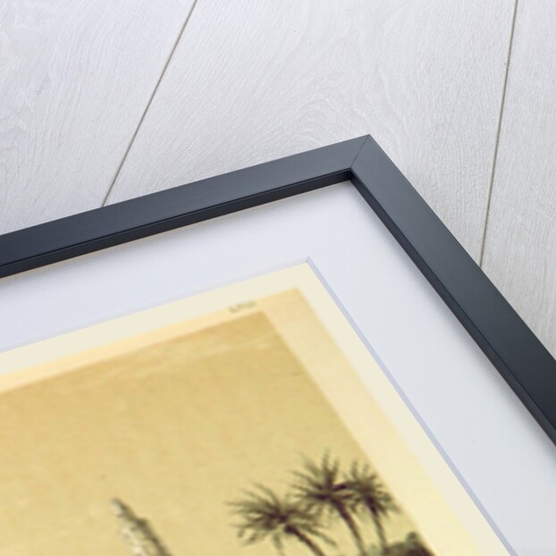 Anah, Narrative of the Euphrates Expedition during the years 1835-1837 by Anonymous