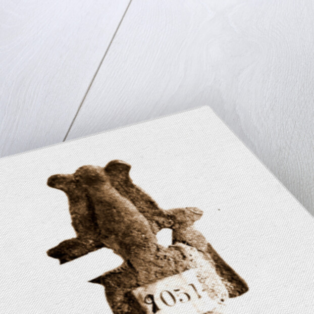 Campania Caserta Capua Museo Campano by Anonymous