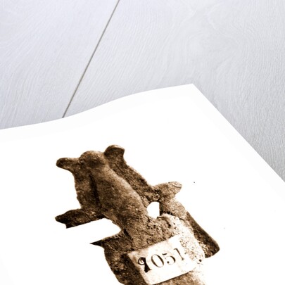 Campania Caserta Capua Museo Campano by Anonymous