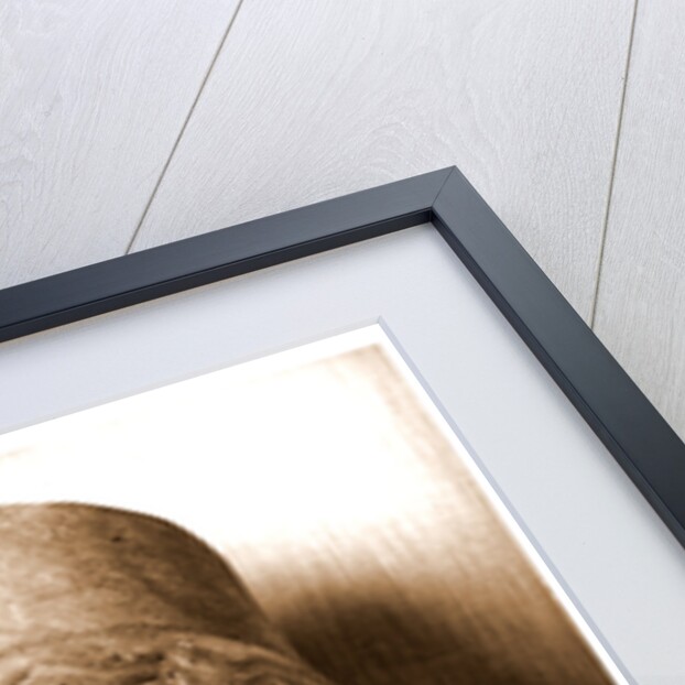 Campania Caserta Capua Museo Campano by Anonymous