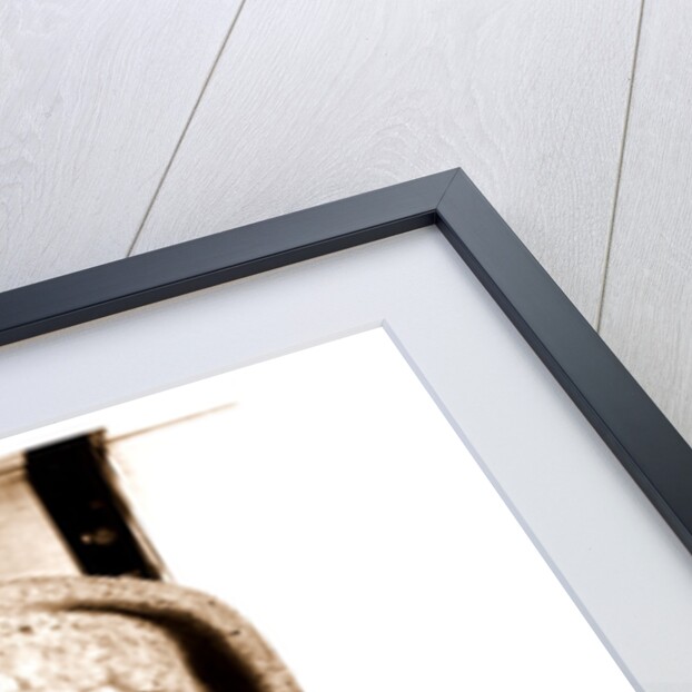 Campania Caserta Capua Museo Campano by Anonymous