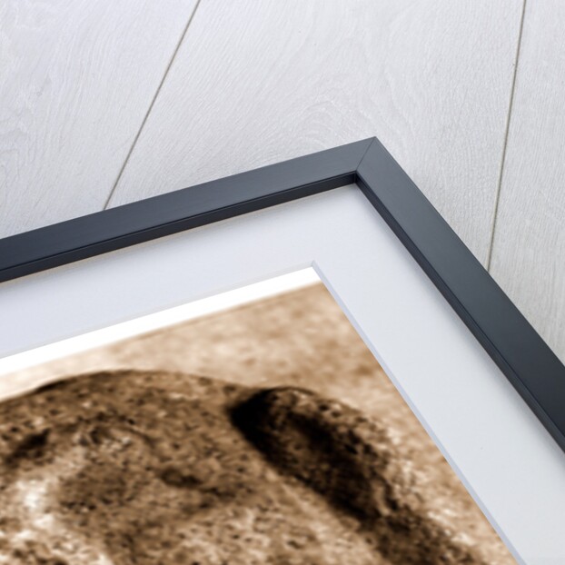 Campania Caserta Capua Museo Campano by Anonymous