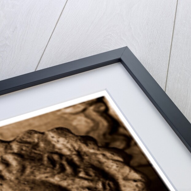 Campania Caserta Capua Museo Campano by Anonymous