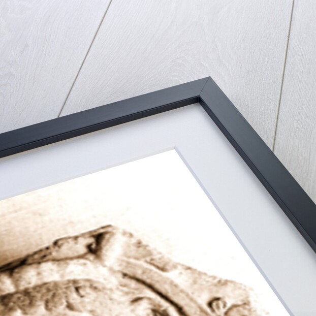 Campania Caserta Capua Museo Campano by Anonymous