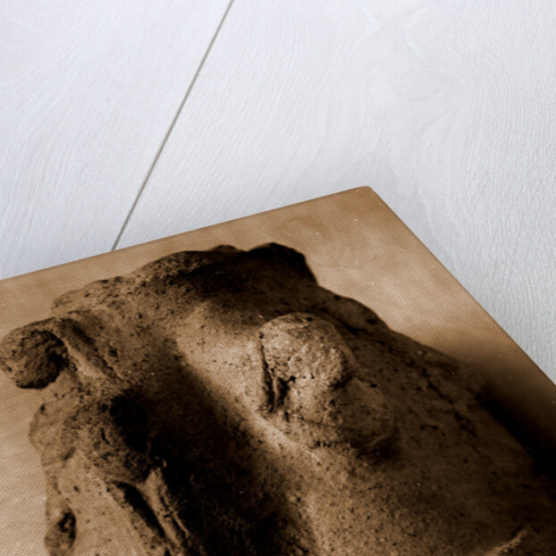 Campania Caserta Capua Museo Campano by Anonymous