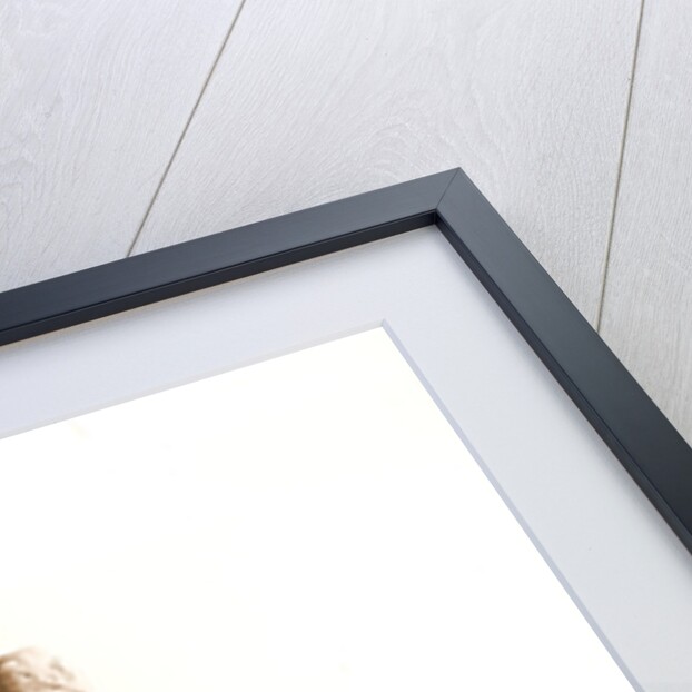 Campania Caserta Capua Museo Campano by Anonymous