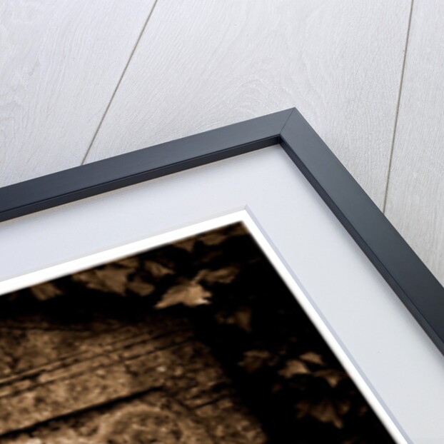 Campania Caserta Capua Museo Campano by Anonymous