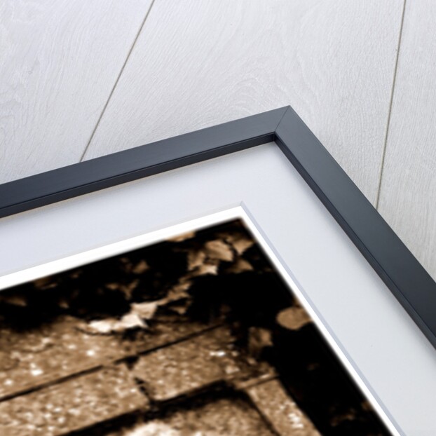 Campania Caserta Capua Museo Campano by Anonymous