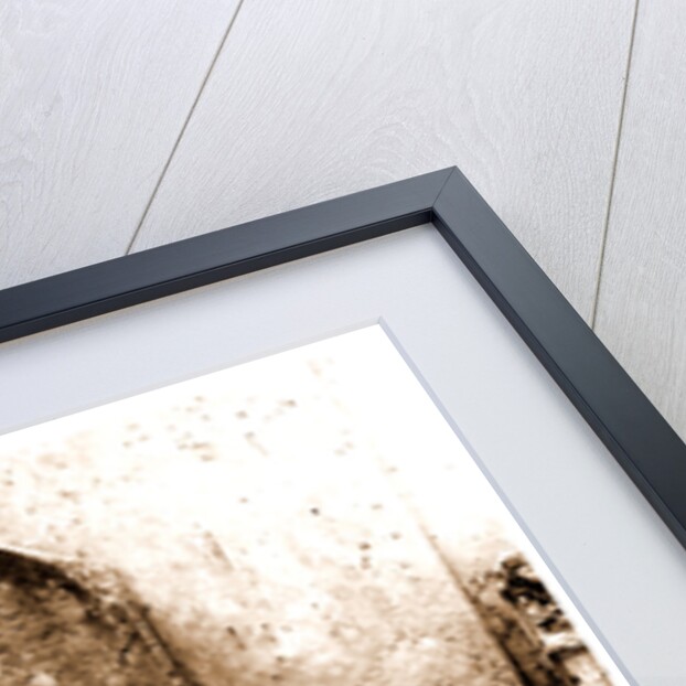 Campania Caserta Capua Museo Campano by Anonymous