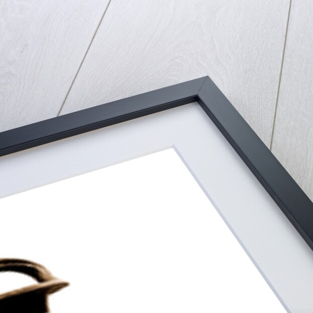 Campania Caserta Capua Museo Campano by Anonymous