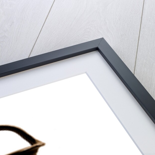 Campania Caserta Capua Museo Campano by Anonymous